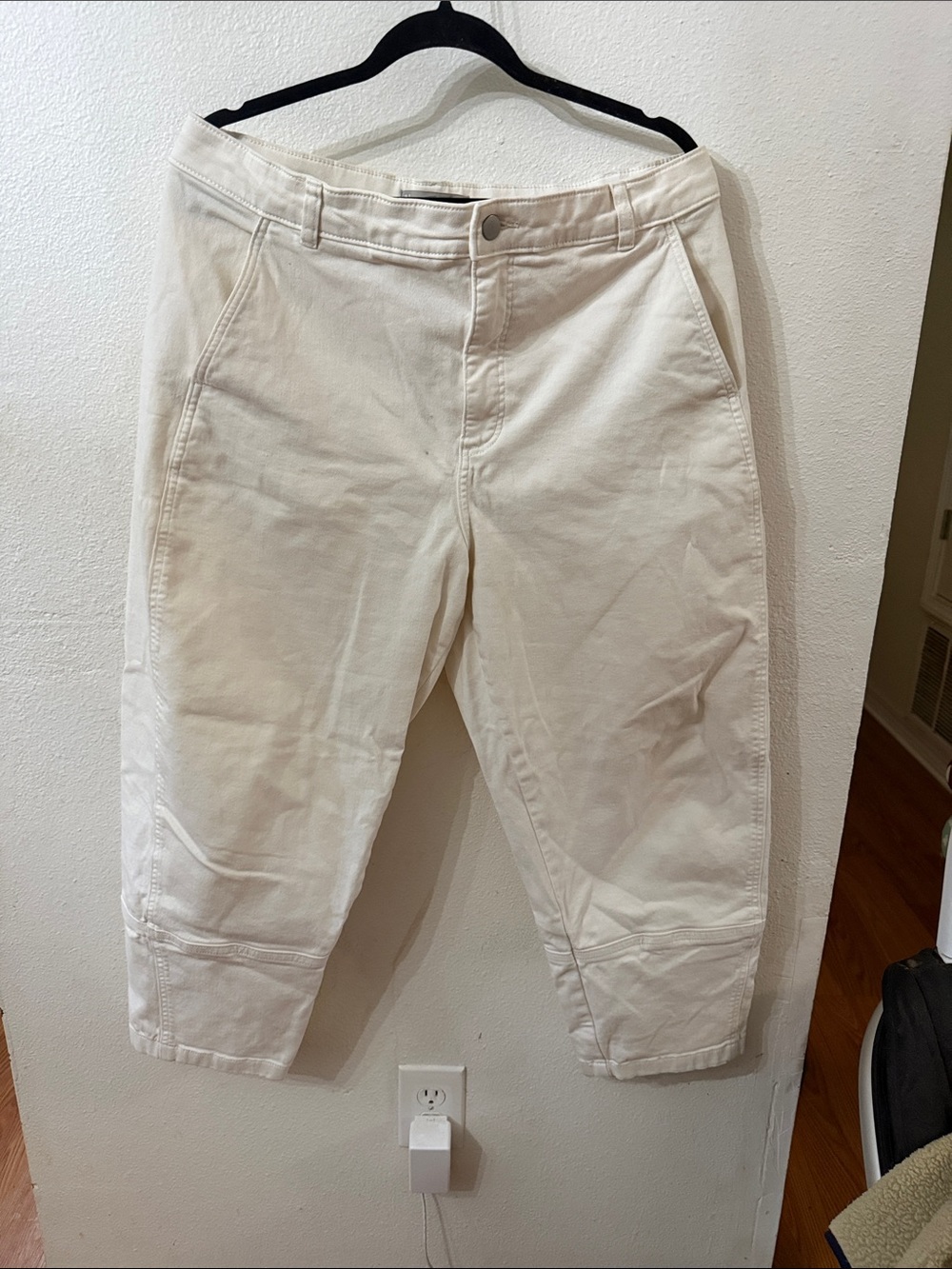 Everlane Utility Barrel Pants